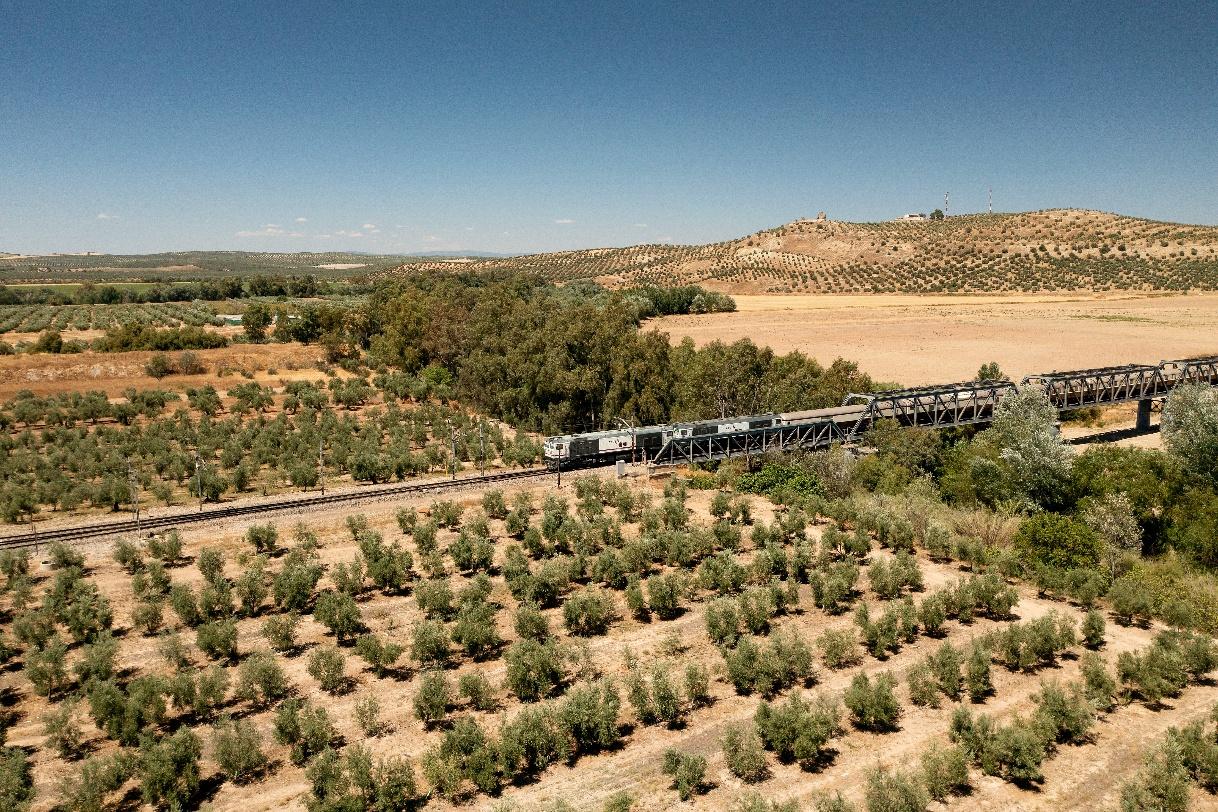 Al Ándalus Luxuszug auf einer Brücke durch andalusische Olivenhaine